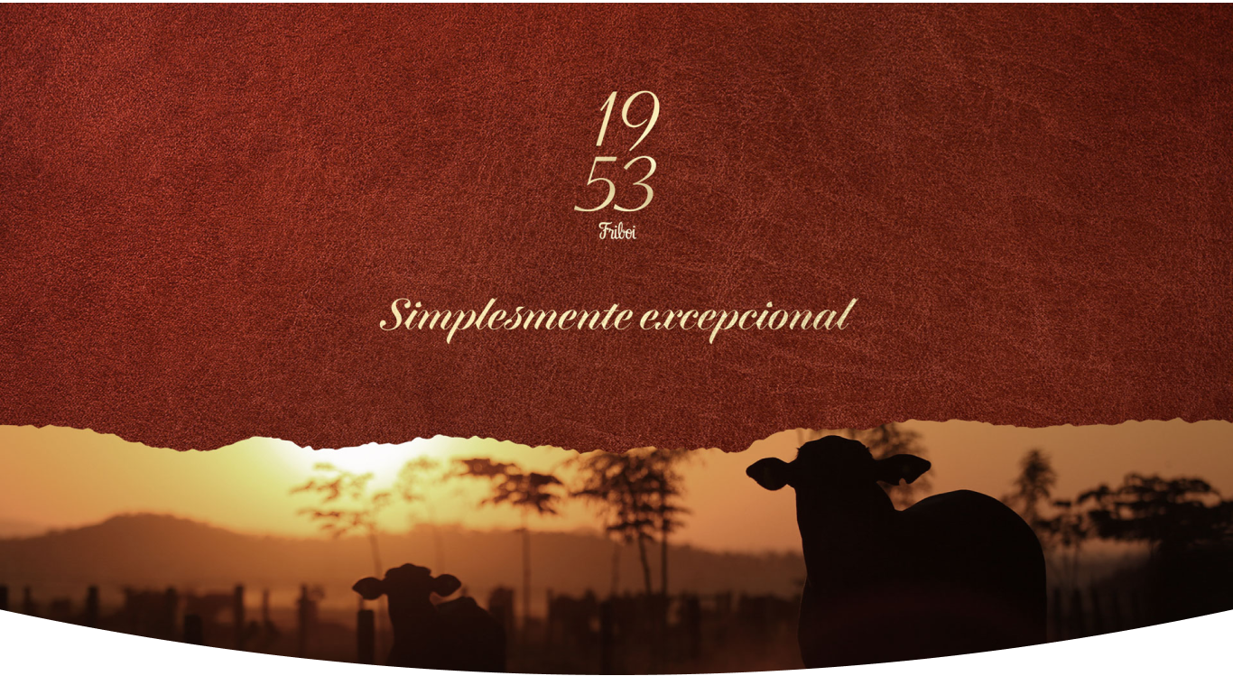 Imagem sem descrição