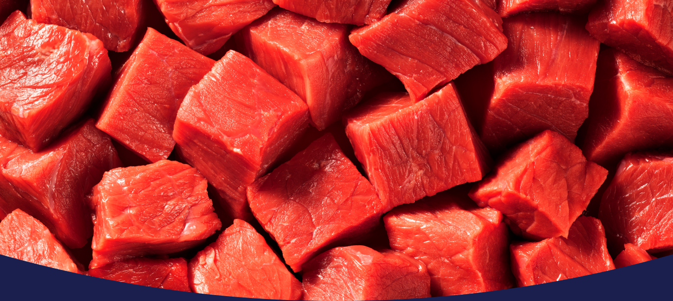 Imagem sem descrição