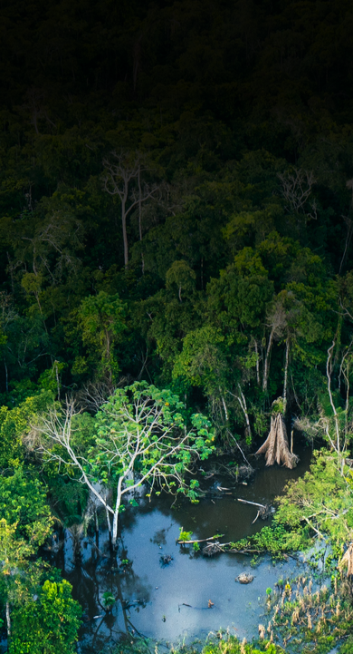 Imagem sem descrição