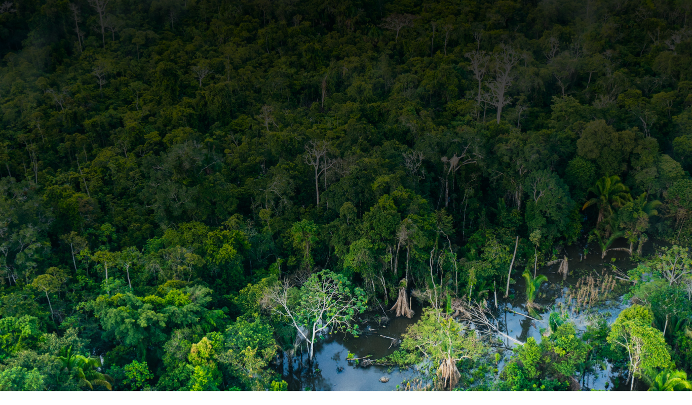 Imagem sem descrição