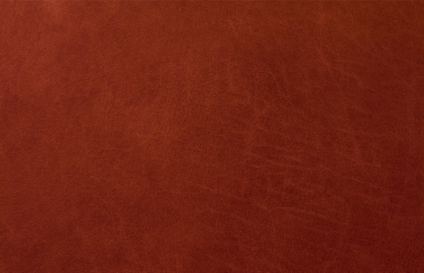 Imagem sem descrição