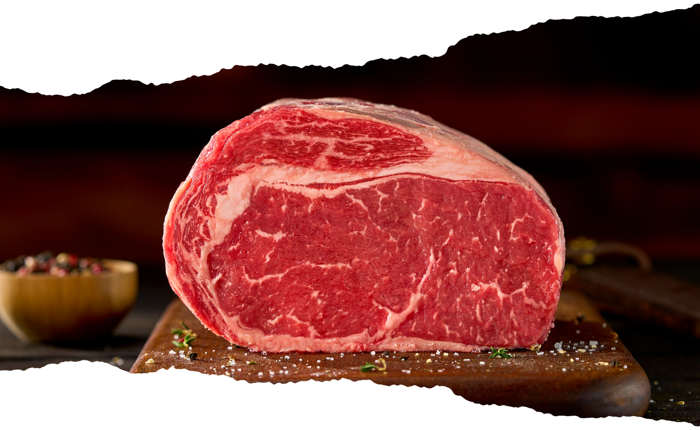 Imagem sem descrição