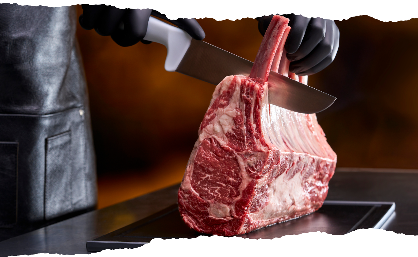 Imagem sem descrição