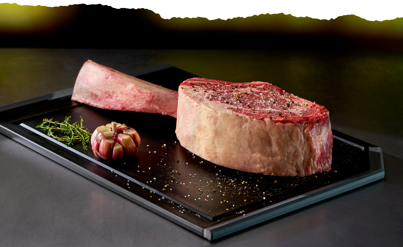 Imagem sem descrição