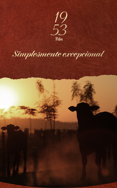 Imagem sem descrição