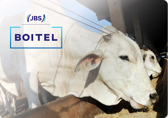 Imagem sem descrição