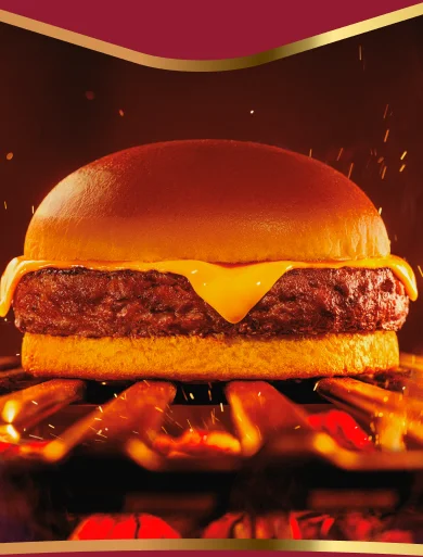 Imagem sem descrição